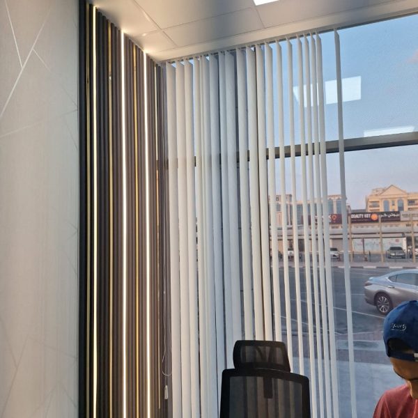 vertical blinds